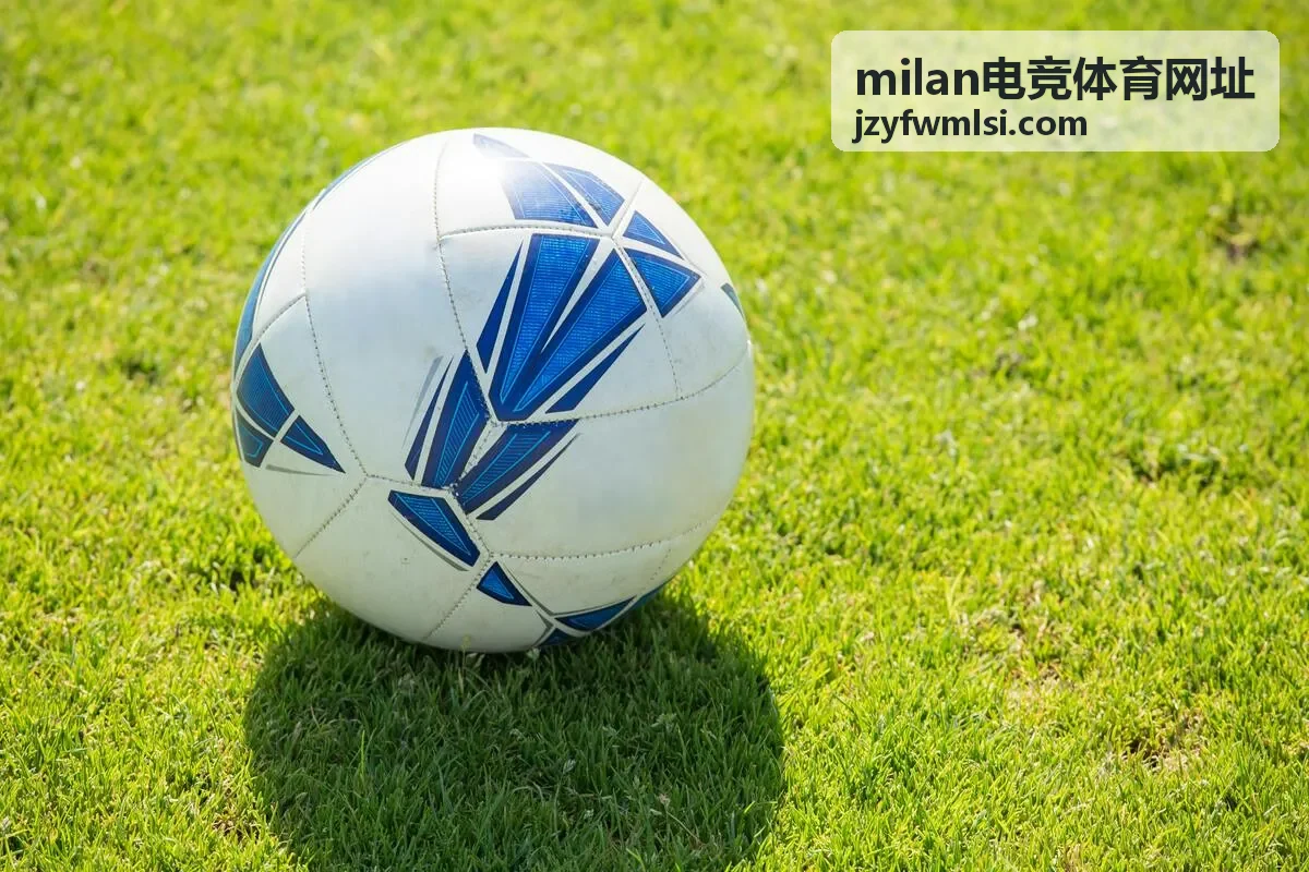 milan电竞体育网址 账号注册与首次登录流程示意